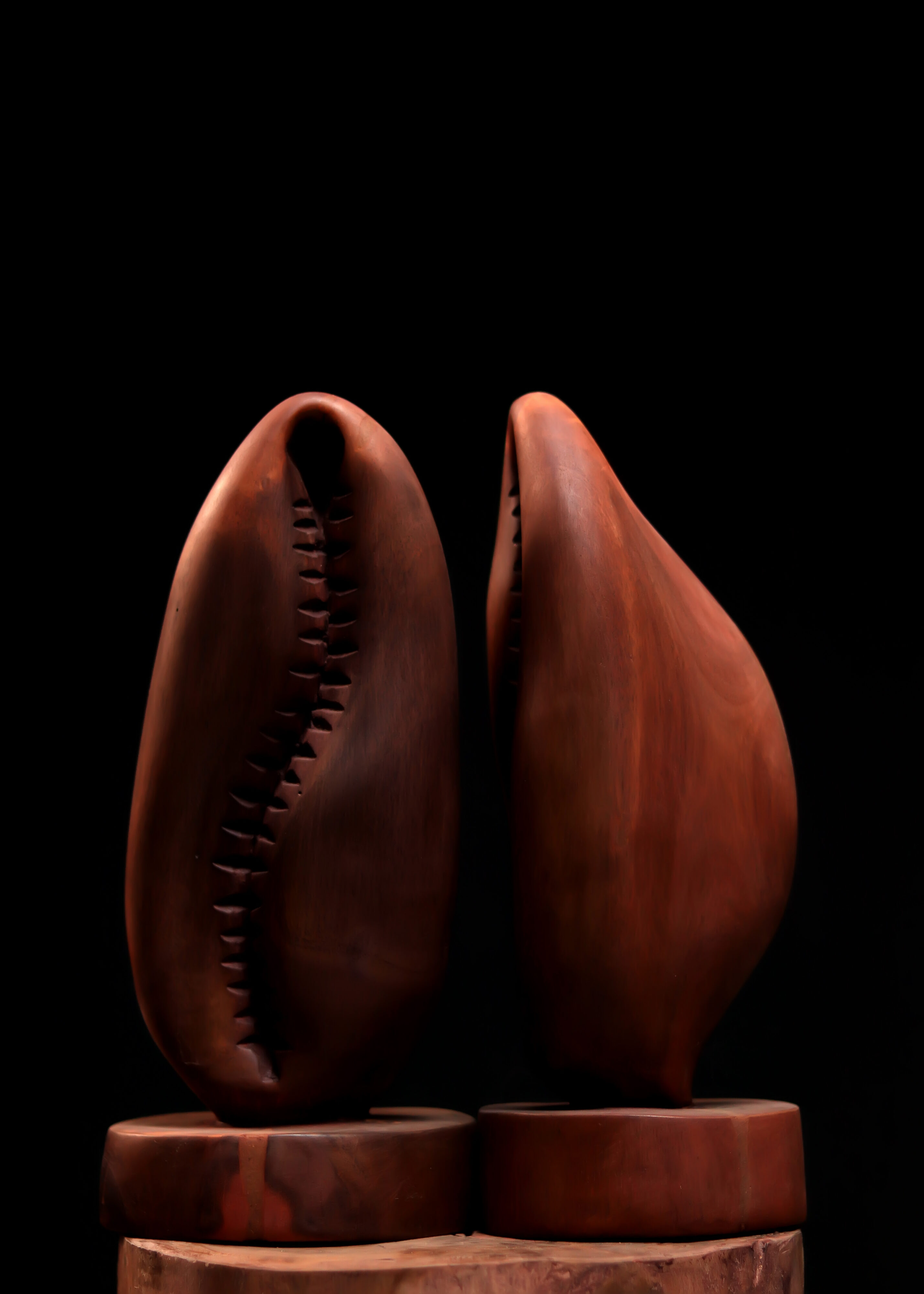 .Ajé (Brown) - Image 5