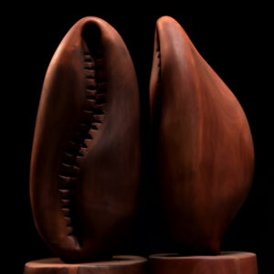 .Ajé (Brown)