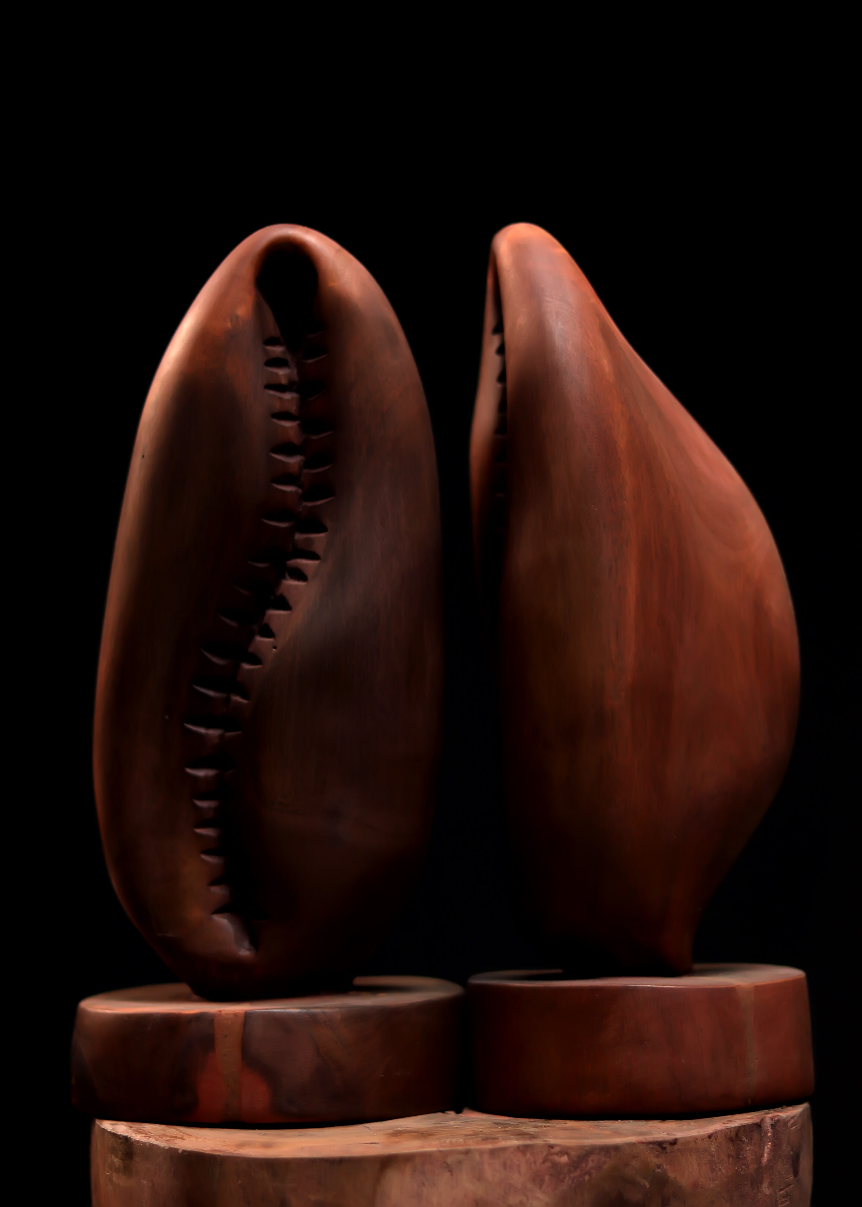 .Ajé (Brown)