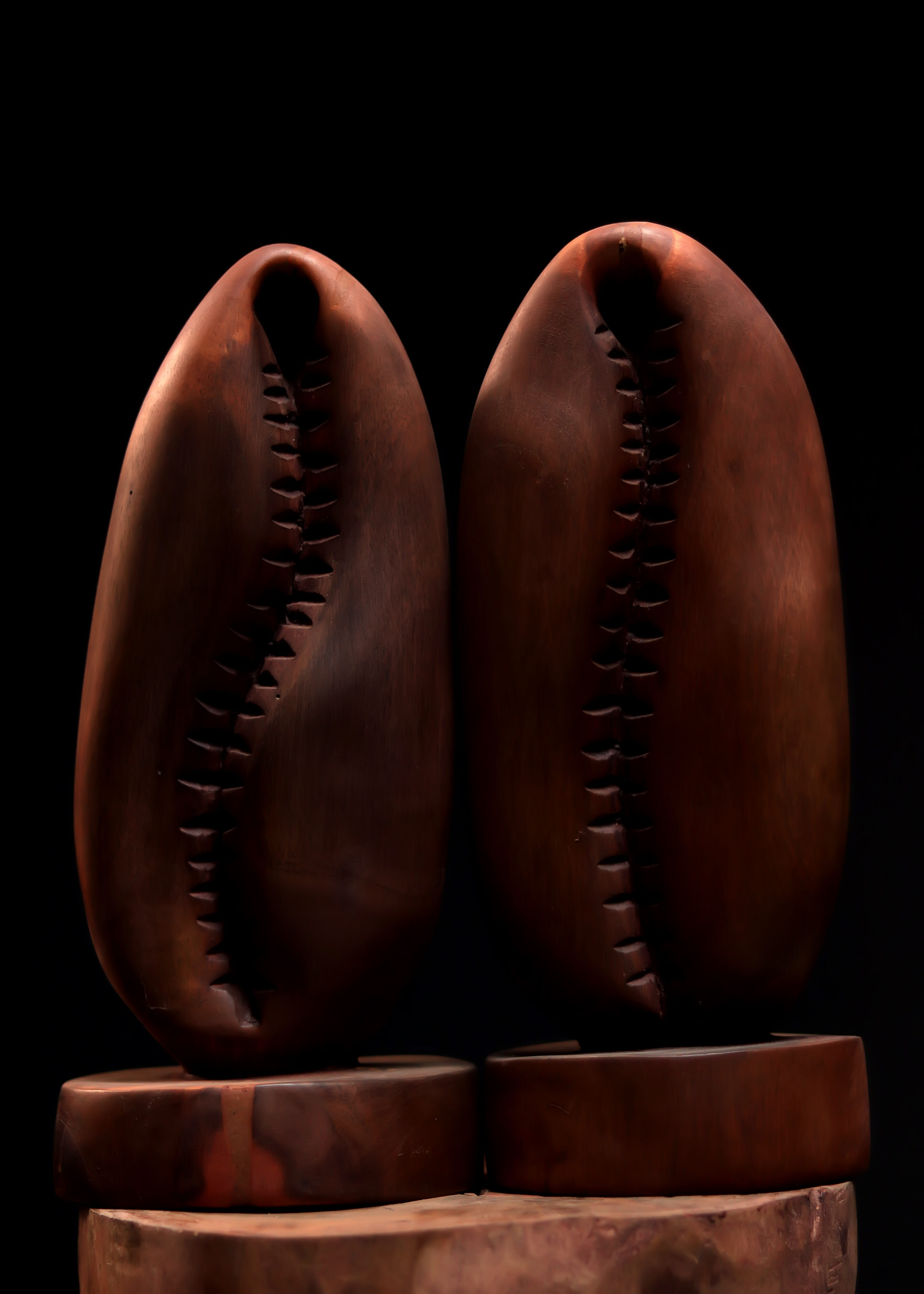 .Ajé (Brown) - Image 3