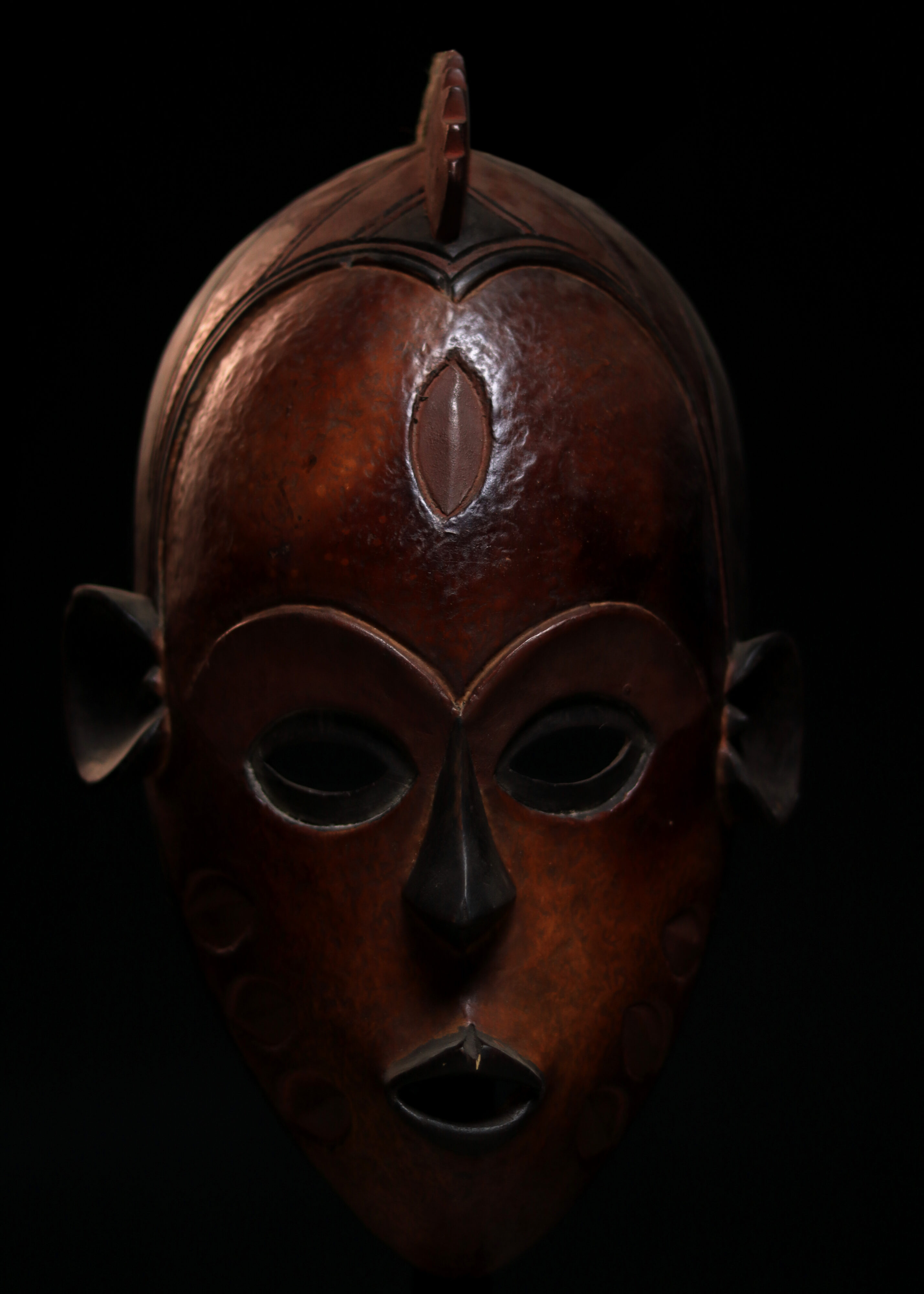 Forest Sentinel Mask