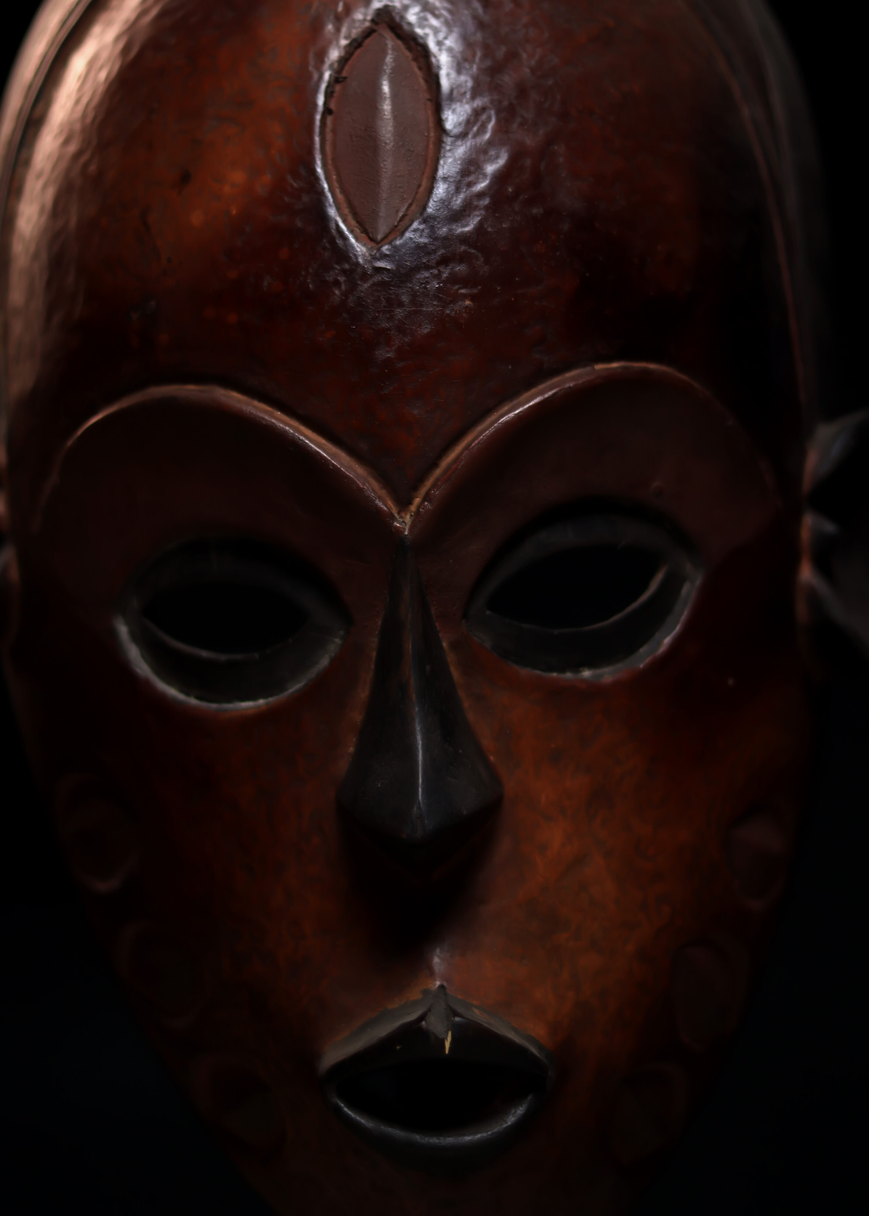 Forest Sentinel Mask - Image 2