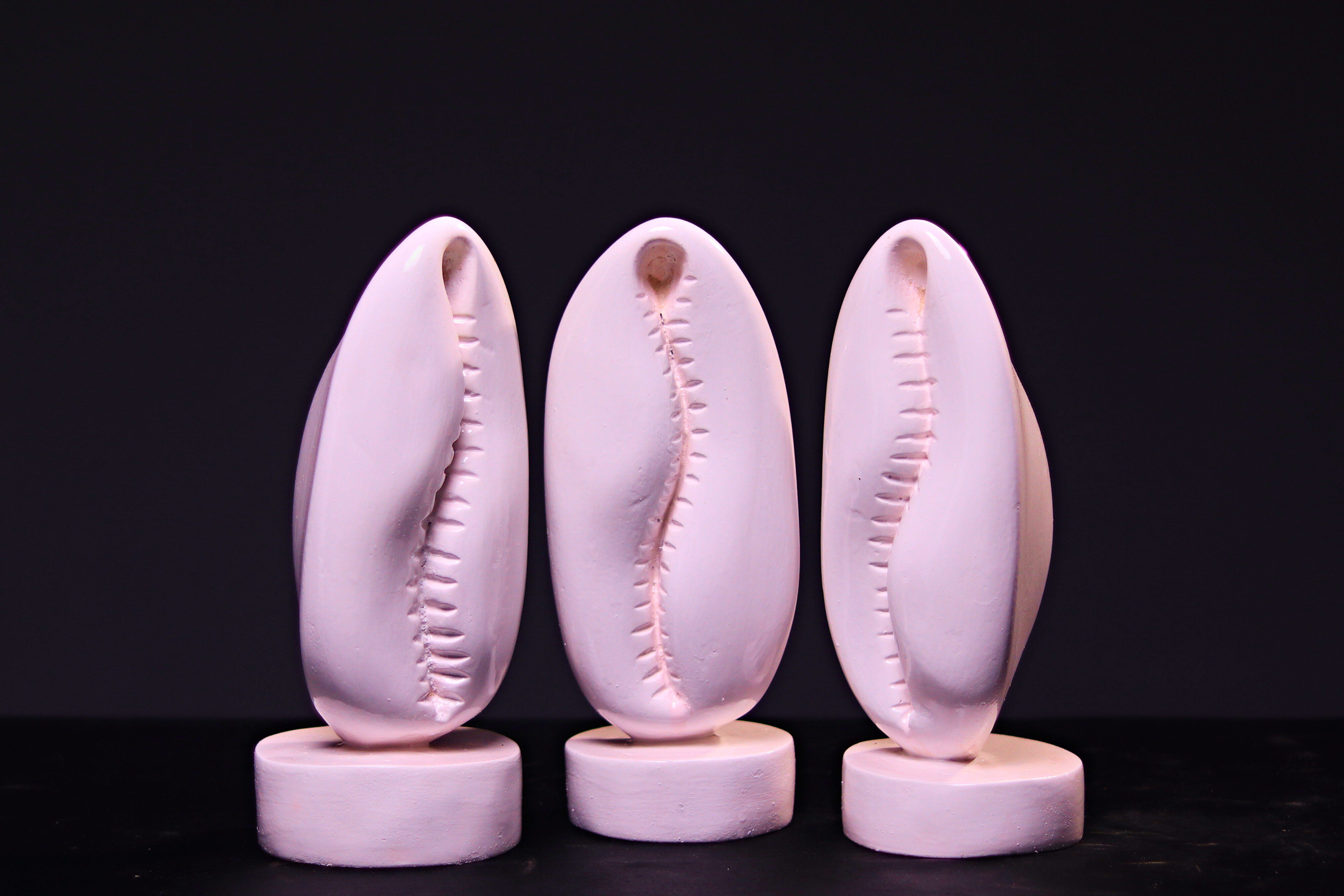 Ajé (White) - Image 7