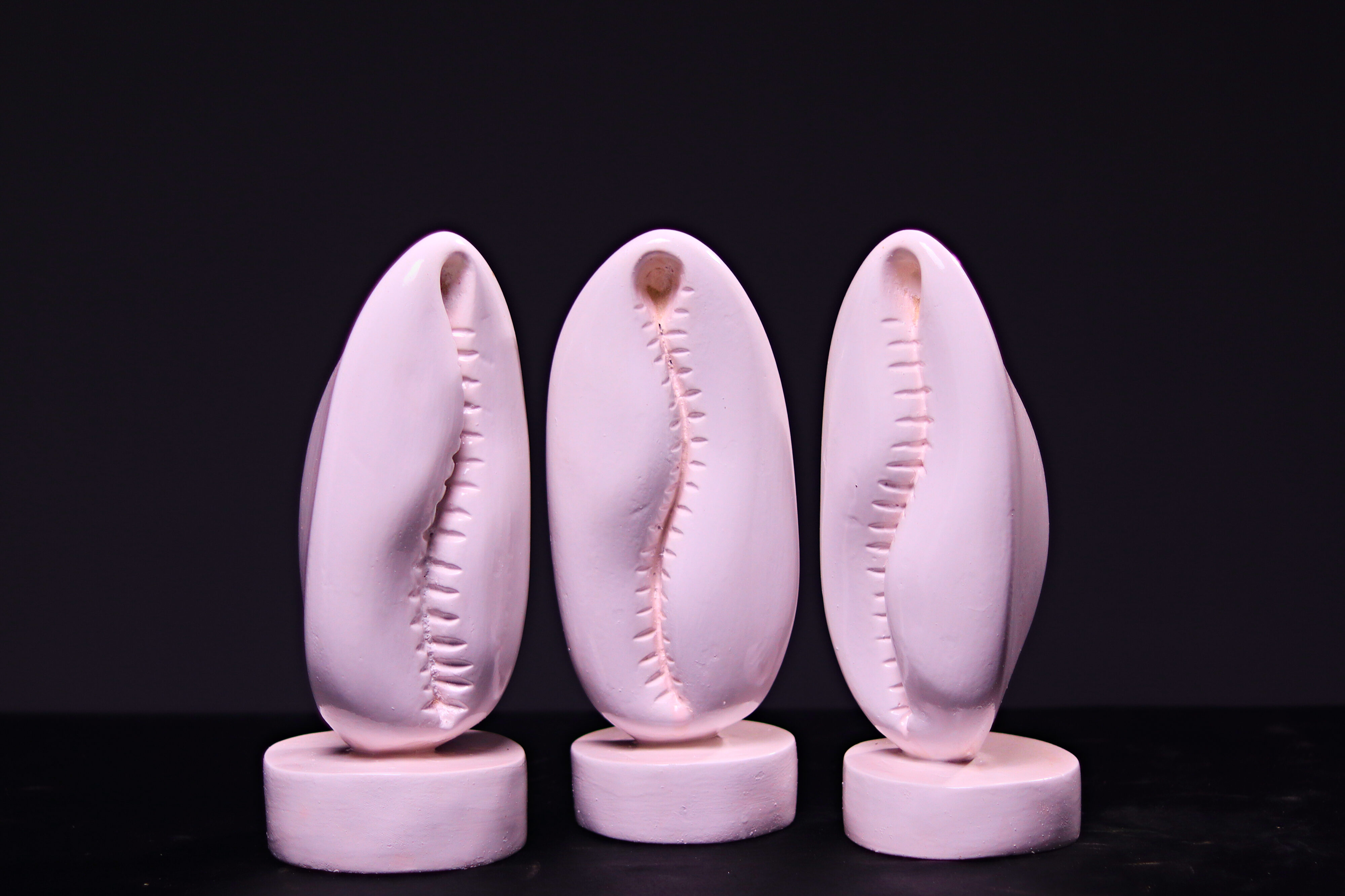 Ajé (White) - Image 6