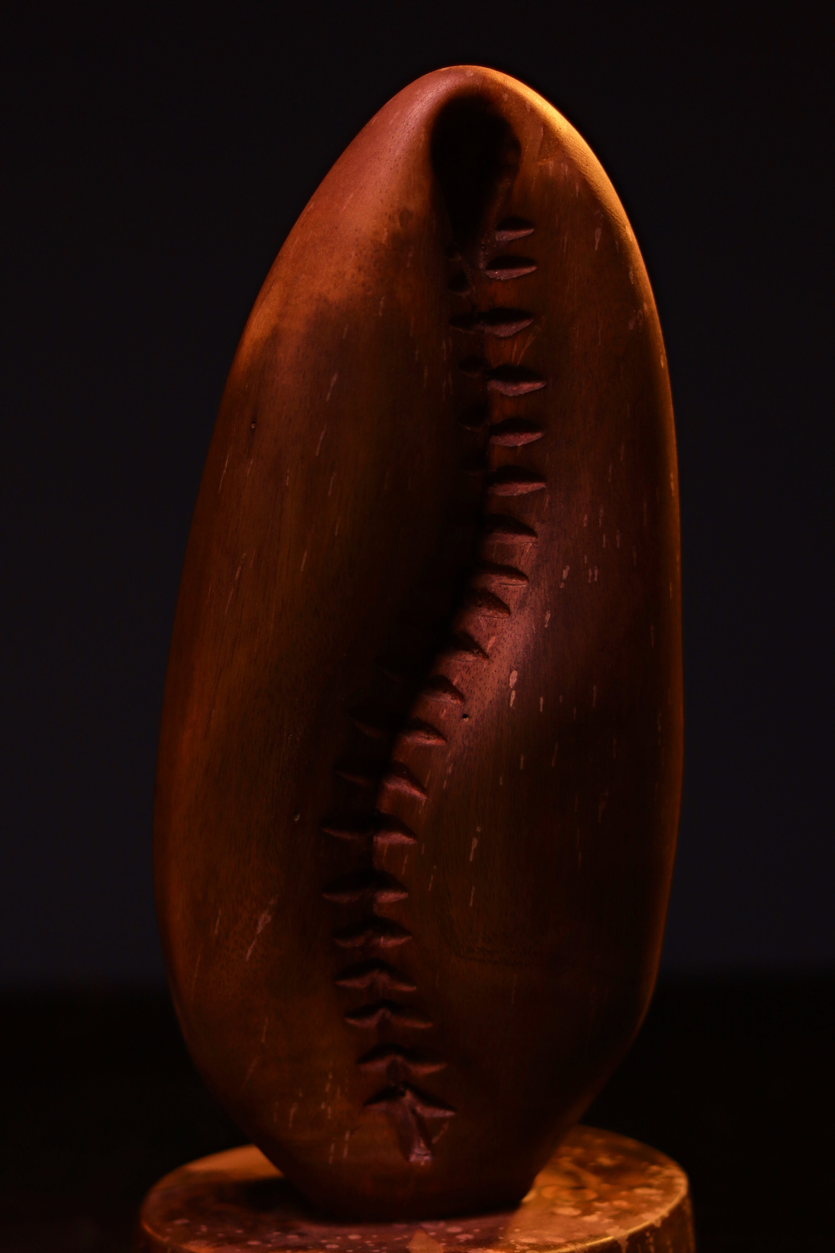.Ajé (Brown) - Image 10